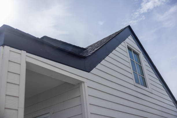 Best Steel Siding Installation  in Winter Garden, FL