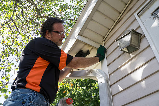 Best Siding Removal and Disposal  in Winter Garden, FL